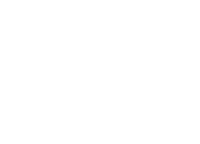 Level